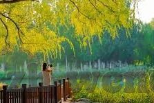 球球探比分即时足球比分-球球探比分，足球迷的即时比分神器，让激情永不落幕！