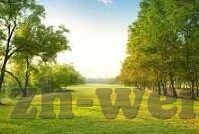 足球比分主场客场-足球比分，主场与客场的博弈艺术